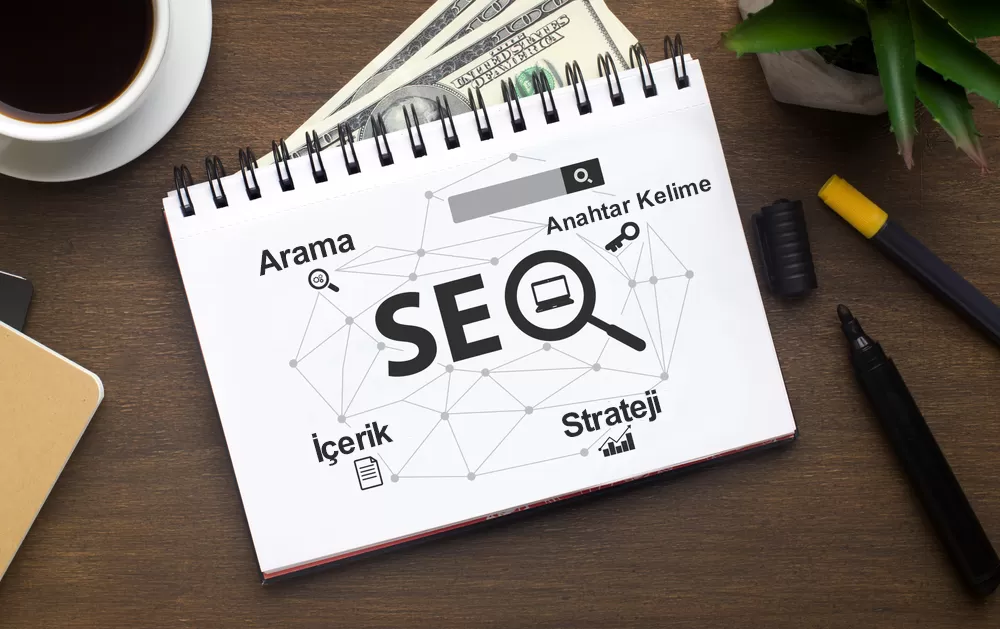 seo içerik editörlüğü